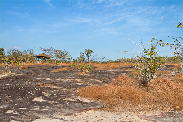 Landscape of bare stone and dry grass: Pha Taem NP