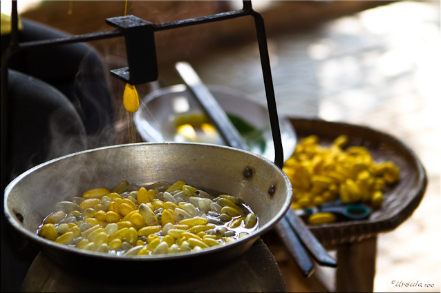 Silk cocoons being boiled and reeled