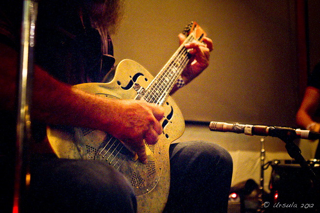 Steel guitar in low light,