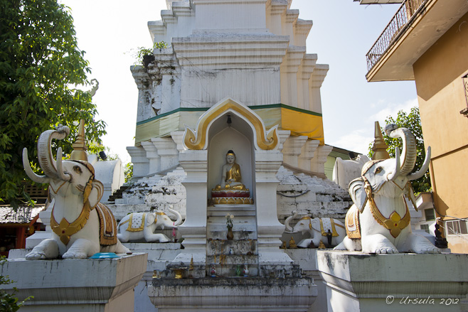 White and yellow chedi, white stone elephants in front, small buddha in an alcove