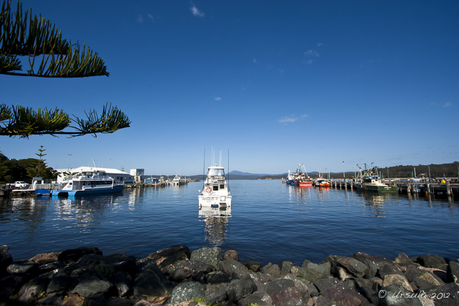 WIde-angle view of a calm harbour with recreational and fishing boats moored.