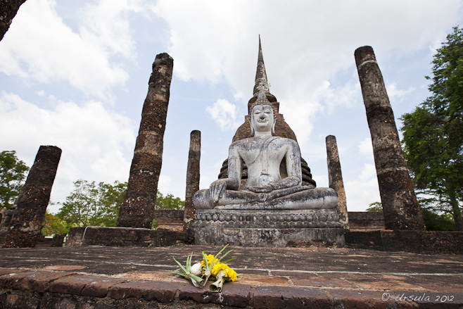 Offering of yellow flowers on the laterite steps leading up to a white Sukhothai buddha.