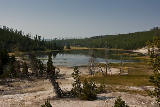 Small lake, Artists Paintpots, Yellowstone NP