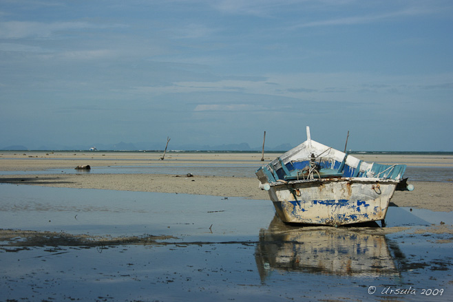 Roughly painted blue and white row boat on a flat wet beach.