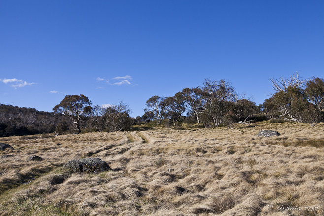 Grassy Flats, Rennix Gap