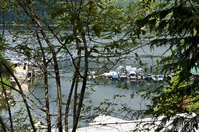 View through trees to Secret Bay, Egmont