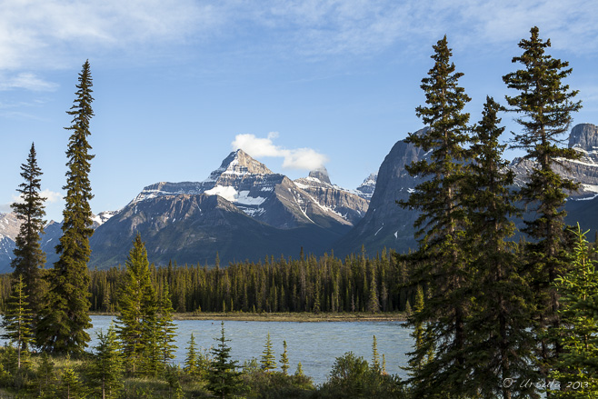 Landscape: view of snow-capped Rocky Mountains over the Athabasca River, Jasper NP, Alberta, Canada