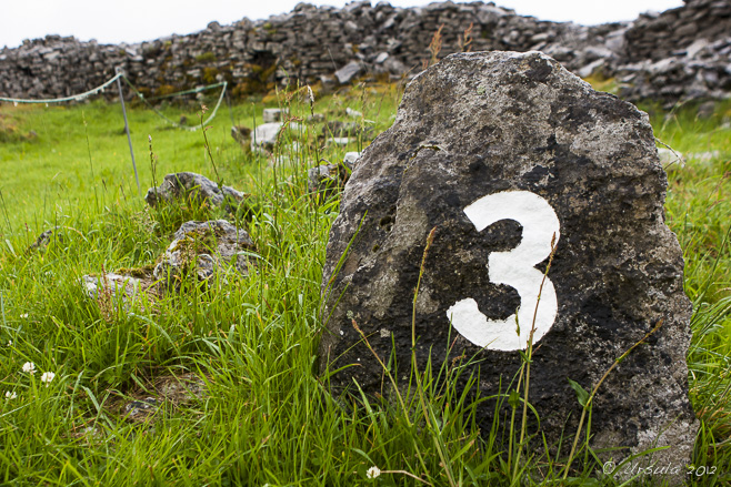 A rock painted with a number "3" on the wet grass at Caherconnell Stone Fort, Co Clare, Ireland.