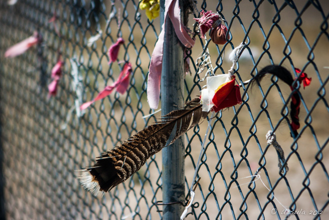 Feathers and ribbons on a wire mesh fence, Wounded Knee, South Dakota, USA