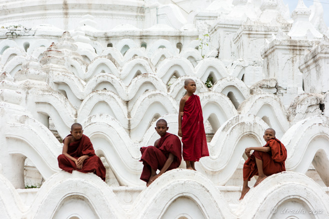 Four young novice monks on the white terraces of Hsinbyume Pagoda, Mingun, Myanmar.