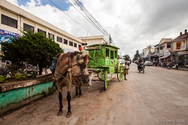 Pony cart on a wide dusty street,  Pyin Oo Lwin, Myanmar