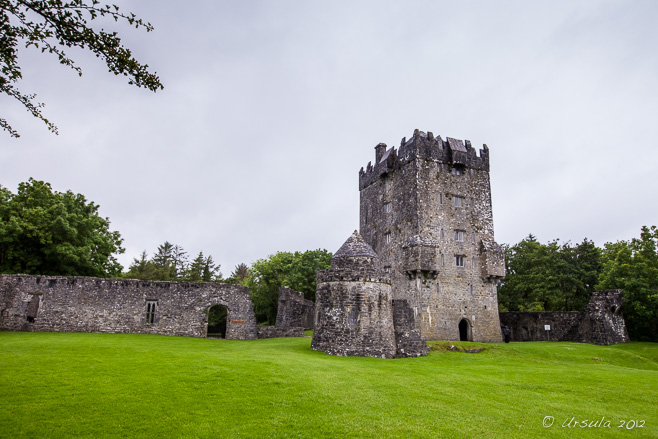 Aughnanure Castle tower in the middle of a wet green lawn, Co Galway