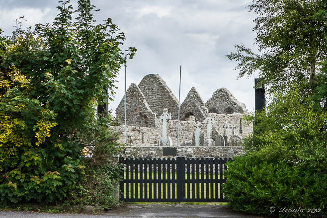 A view of ruined temples and standing high crosses between trees, Clonmacnoise, Ireland