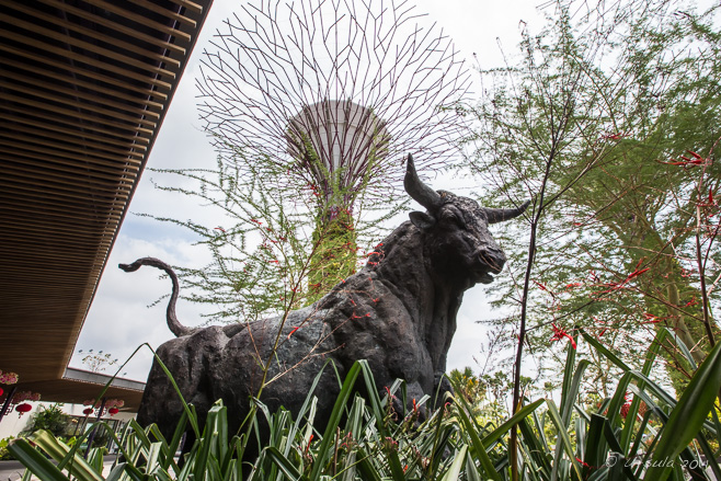 Bronze sculpture: Magnificent Bull , Singapore Gardens by the Bay