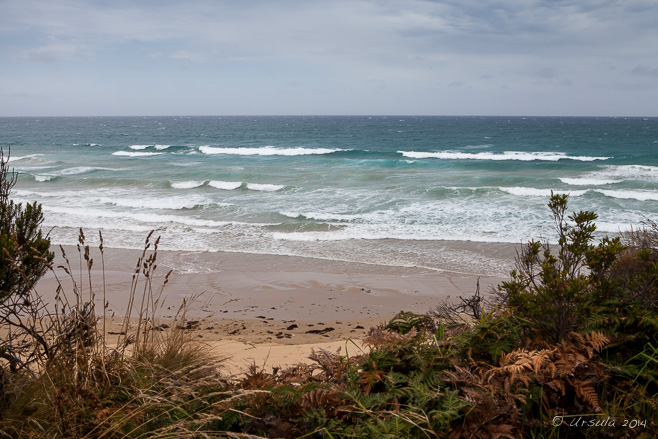 Grasses in the foreground, sandy beach and waves on the Southern Ocean, Bell