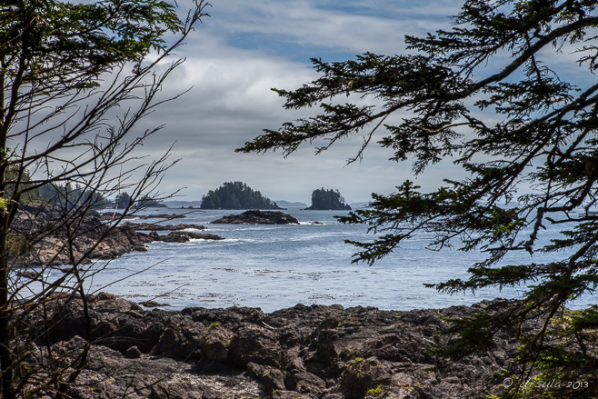 View over rocky coast and water, Wild Pacific Trail