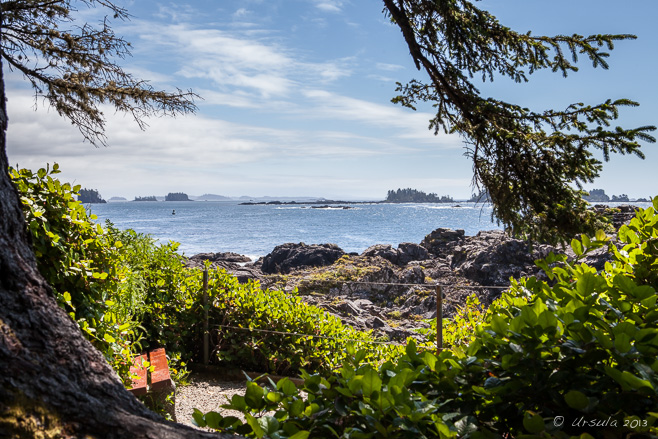 View over rocky coast and water, Wild Pacific Trail