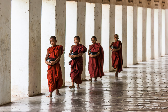 Four Burmese Novices with their begging bowls, south entrance causeway, Shwezigon Pagoda