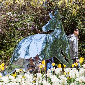 People reflected in a shiny metal kangaroo sculpture, Floriade, Canberra