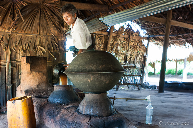 Burmese man Distilling Whiskey, Bagan Myanmar