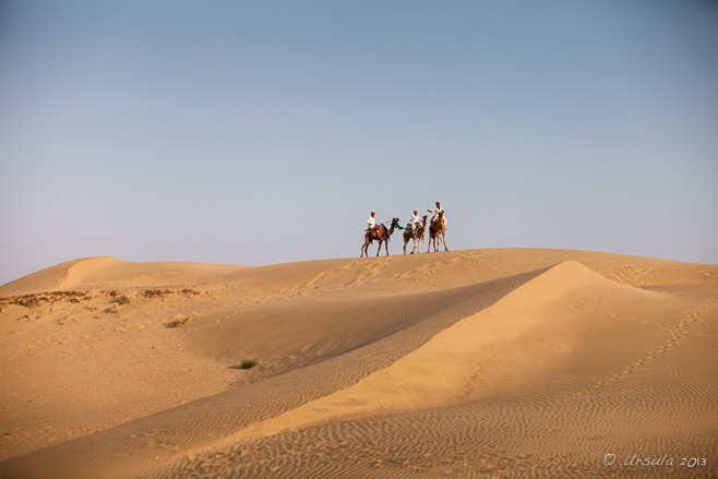 Three men on camel back, Thar Desert, Rajasthan, India