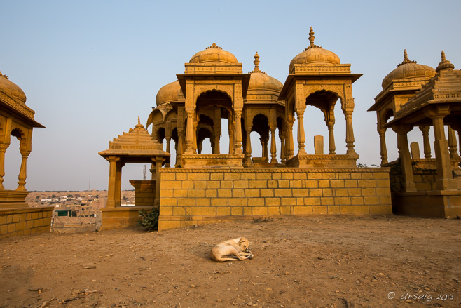 Cenotaphs and sleeping dog in the landscape, Jaisalmer