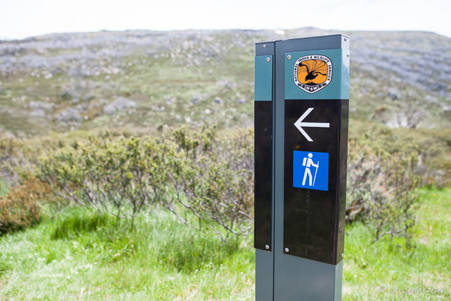 NSW National Parks walking sign at the Trail Head to Illawong Lodge, Guthega 