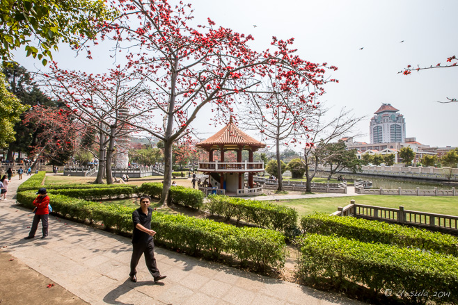 Gardens,  Nan Putuo Temple, Xiamen, Fujian Province, China