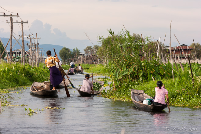 Leg Rowers and Paddlers on Inle Lake, Myanmar