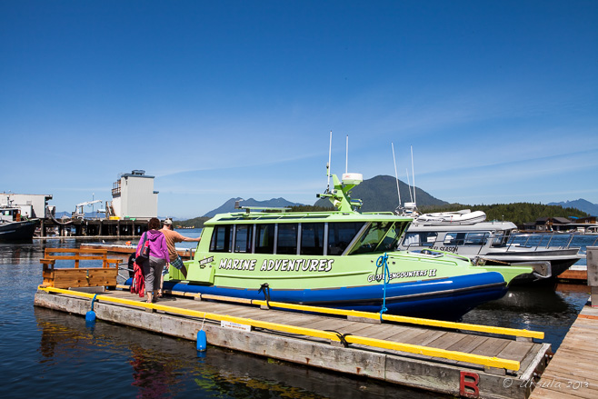 Green and blue "Marina West Adventures" boat, docked at Tofino BC