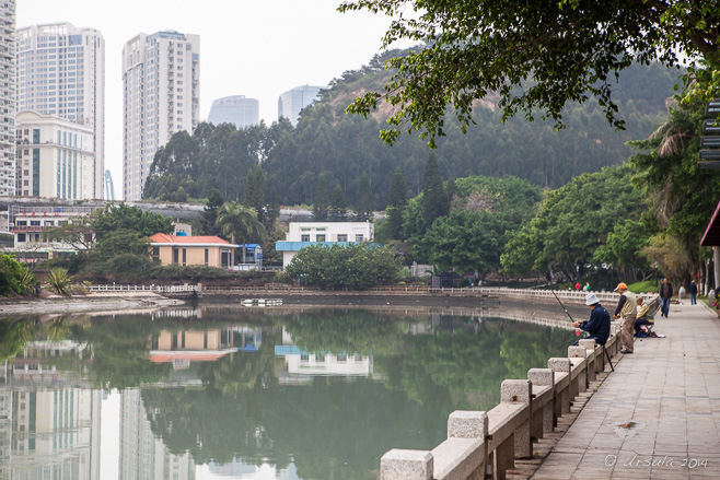 Men Fishing on Yundang Waihu, Xiamen China