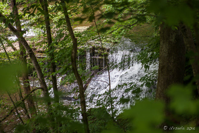 Rutledge Falls, Short Springs Natural Area, Rutledge Falls on Crampon Creek, Coffee Co, Tennnessee USA