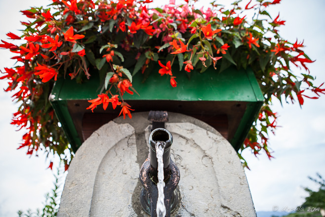 Fountain topped with red flowers, Balade des Fontaines, Aigle, CH