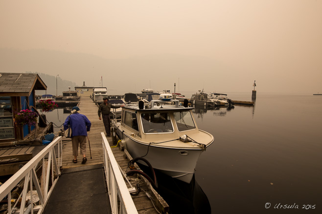 Sunshine Coast Tour Boat, Back Eddie Pub, Egmont BC