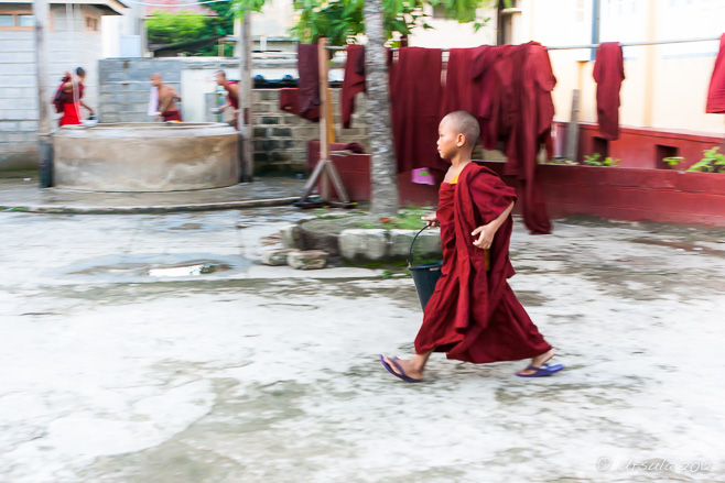 Novice with a Bucket, Nyaung Shwe, Myanmar