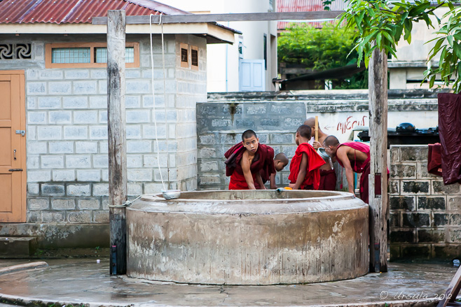 Novice monks at a monastery Well, Nyaung Shwe Myanmar