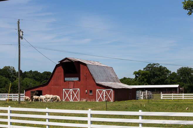 Red painted wooden barn, Middle Tennessee