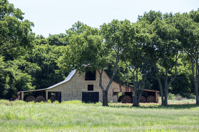 weathered wooden barn, Middle Tennessee