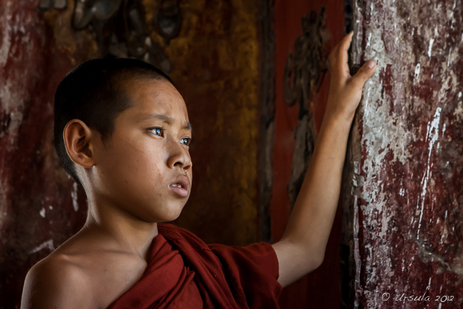 Novice in the Shrine, Shwe Yan Pyay Monastery, 