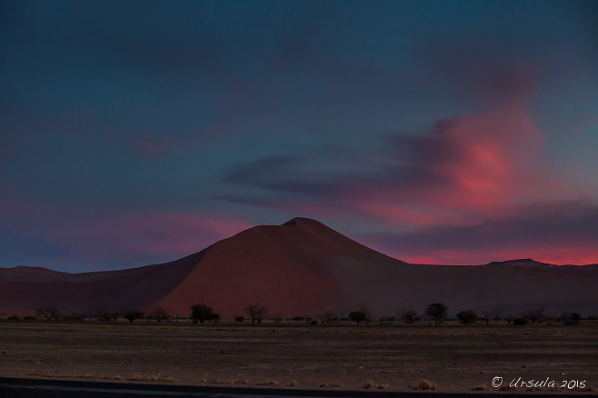 Blue and pink skies over desert dunes in Namib Desert, Namib-Naukluft Park, Namibia