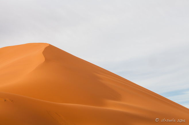  Dune 40, Namib-Naukluft Park, Namibia