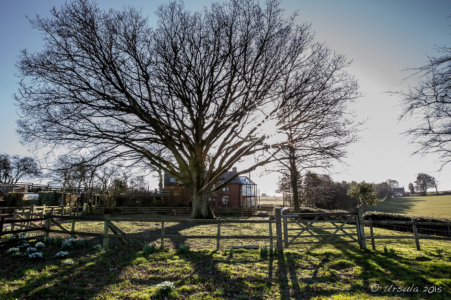 Small Breeds Farm Park and Owl Centre, Kington Herefordshire