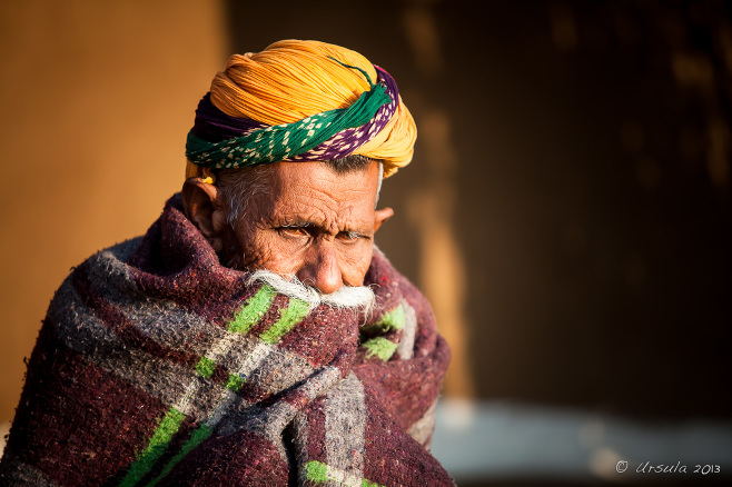 Old Rajasthani Man in a yellow turban and blanket, Thar Desert village, India