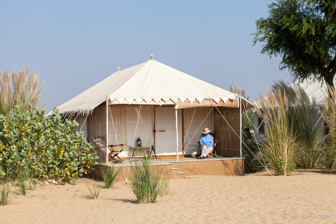 The tents of Manvar Desert Camp, Rajasthan, India