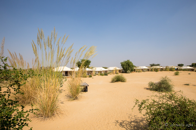 The tents of Manvar Desert Camp, Rajasthan, India