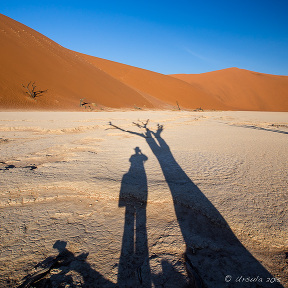 Long shadow of a photographer and a dead tree, Deadvlei, Namibia