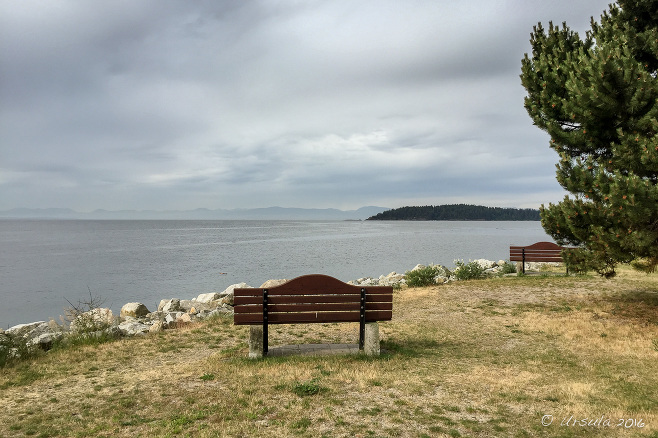 Wooden Bench overlooking the water, Sechelt BC Canada