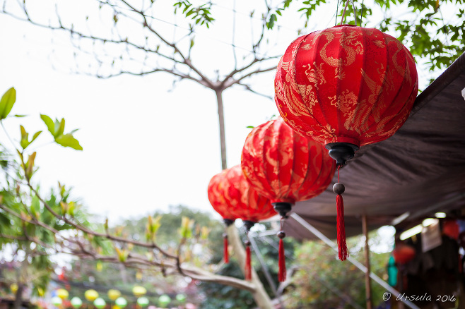 Red Chinese Lanterns, Old Hoi An, Vietnam