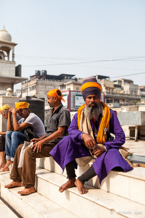 Sikh in Purple and orange, rooftop, Gurudwara Sis Ganj Sahib, Chandni Chowk, Old Delhi 