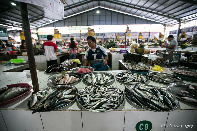 Fish on a counter in Sindhu traditional market, Sanur, Bali